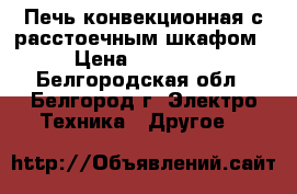 Печь конвекционная с расстоечным шкафом › Цена ­ 70 000 - Белгородская обл., Белгород г. Электро-Техника » Другое   